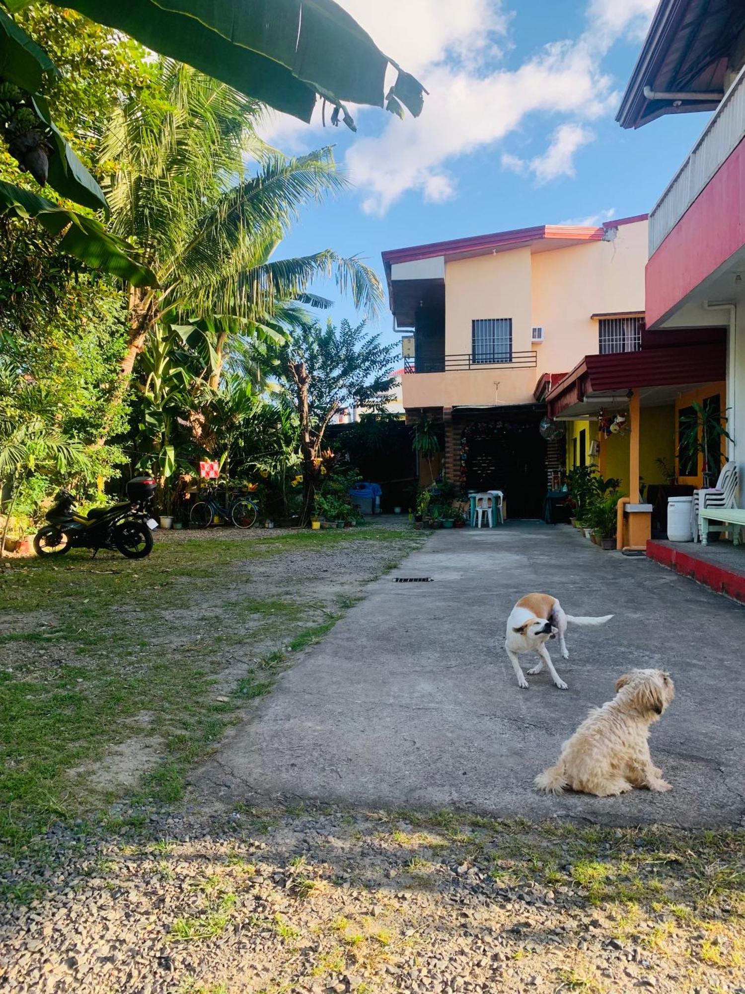 Perlies Inn Tanay Barkada House Extérieur photo
